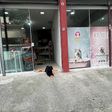 Pet da Bita