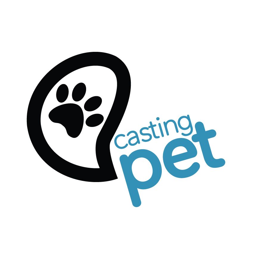 CASTING PET