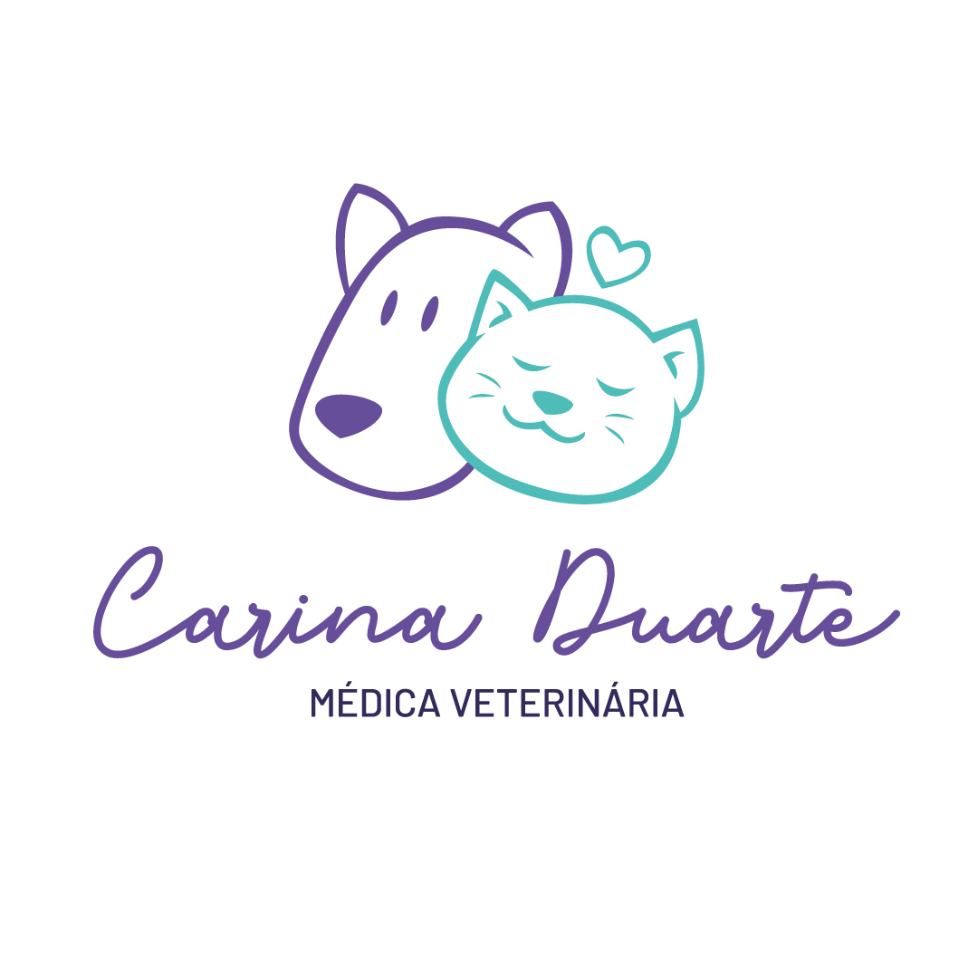 CARINA DE PAULA E SILVA LEME DUARTE