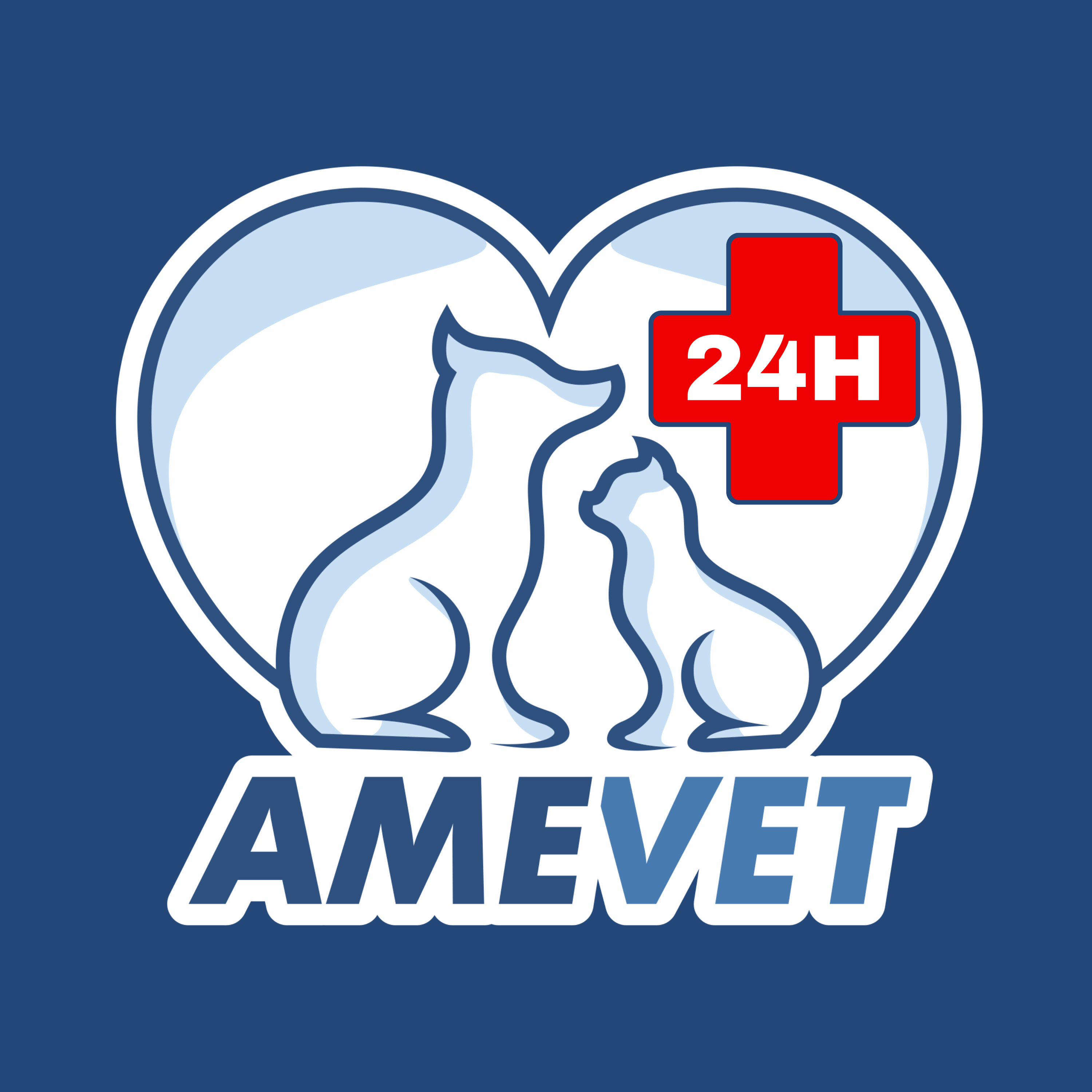 HOSPITAL AME VET